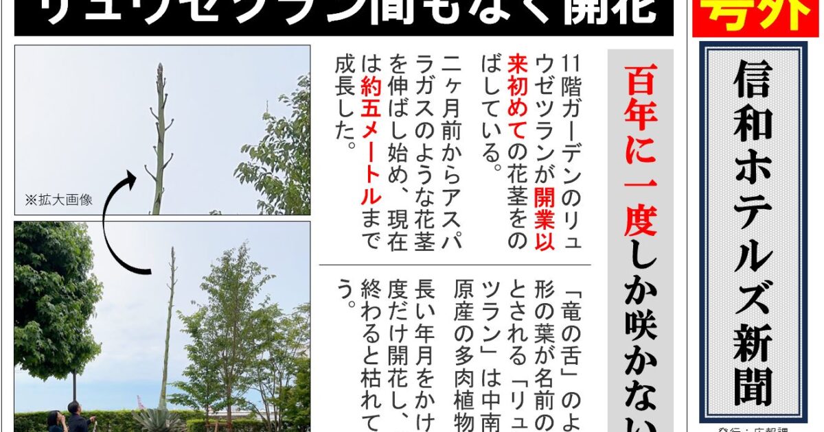 再度 お値下げしました。花づくし 春夏秋冬 花と暮らす 花と遊ぶ 春夏秋冬・花づくし 春 夏 秋 冬 彩 季 全